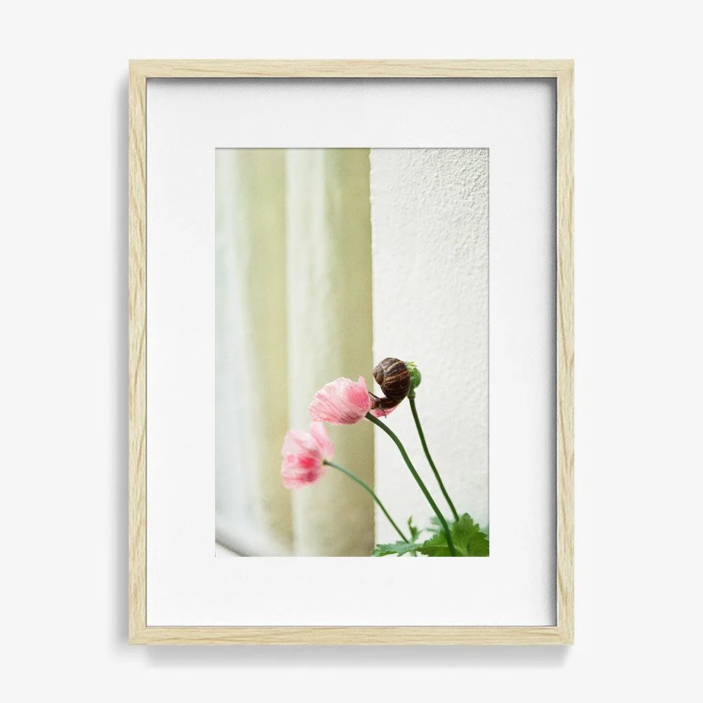 Elegance - Image 8