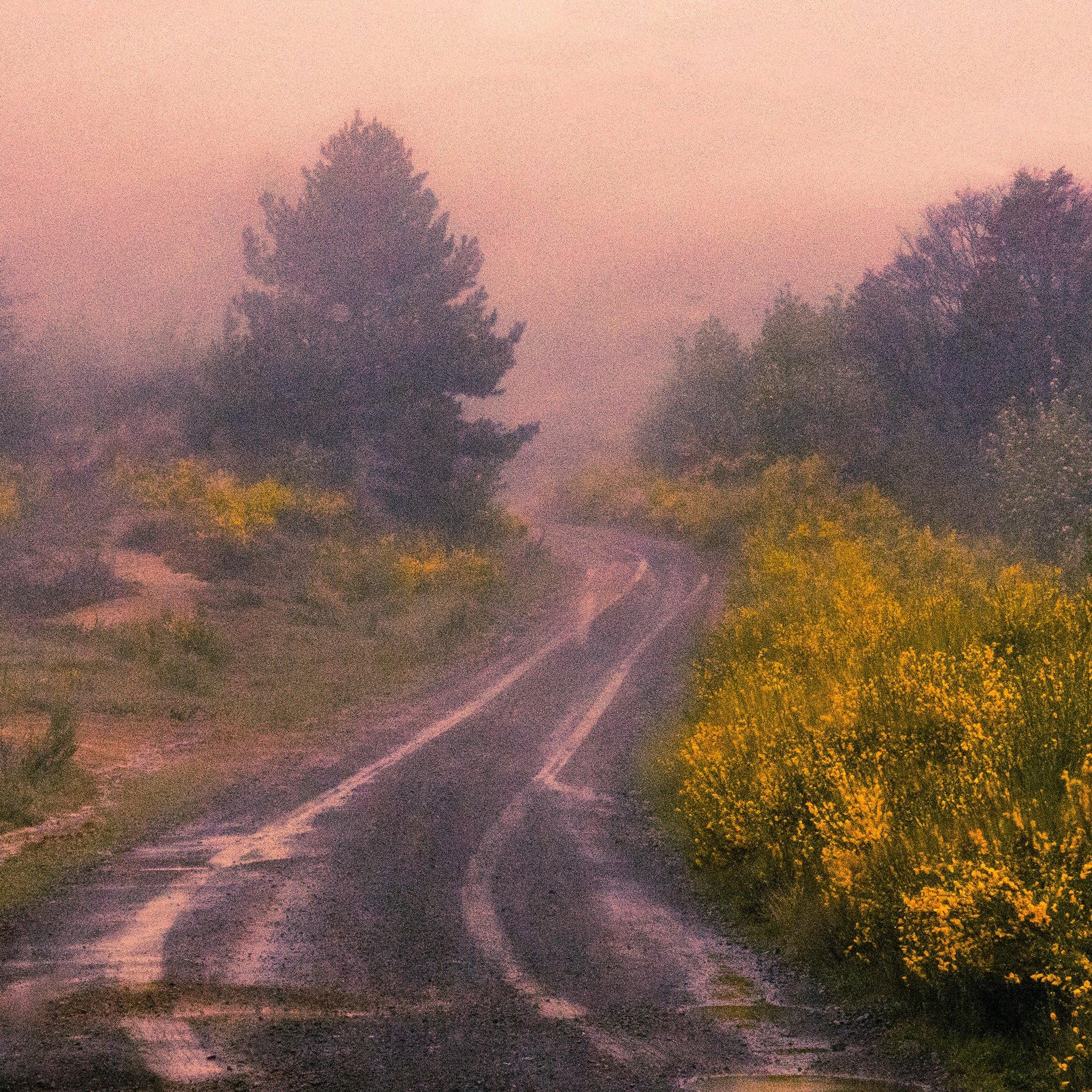 Thermal Explorer, Forgotten World 10 - Image 3