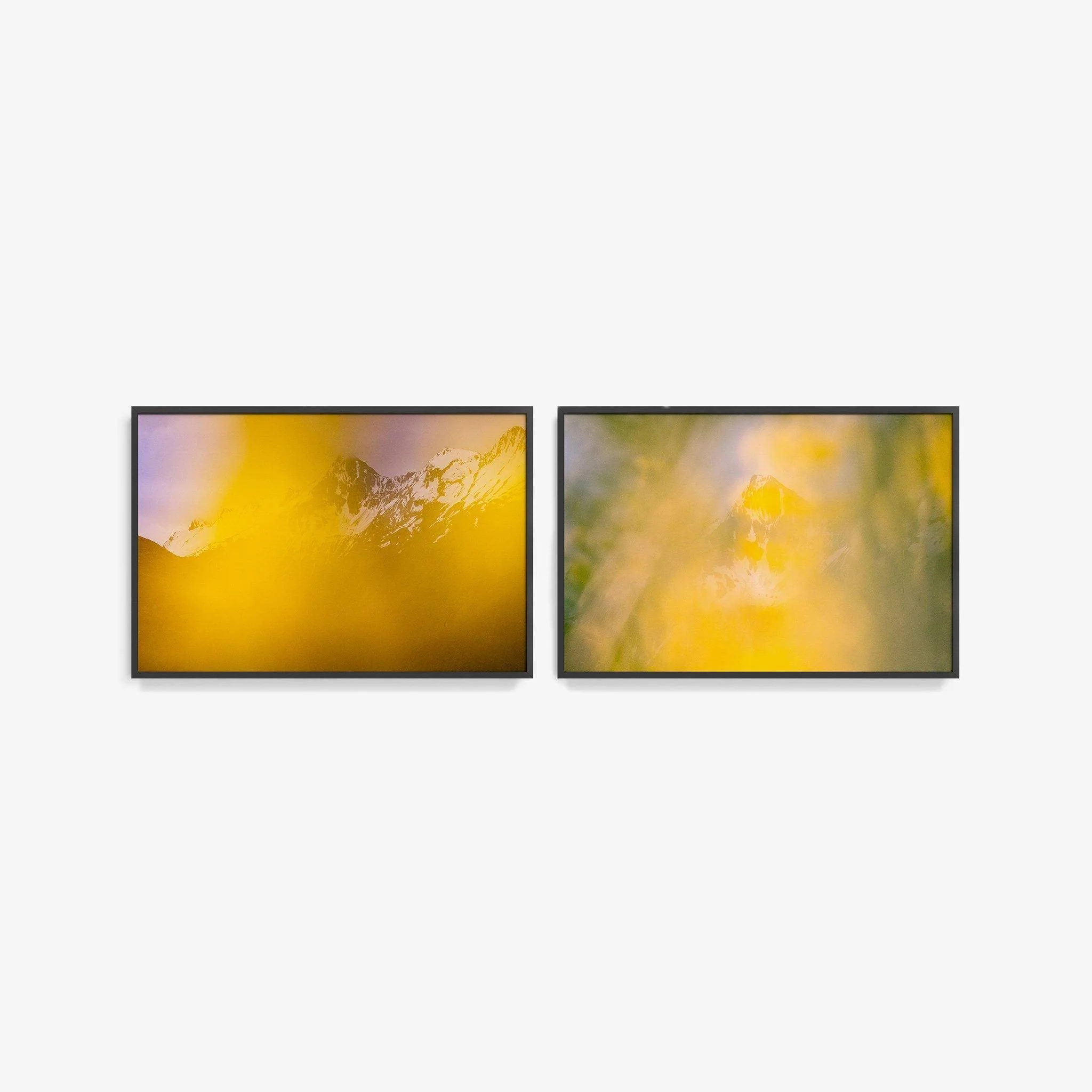 Thermal Explorer, Forgotten World Diptych I - Image 17