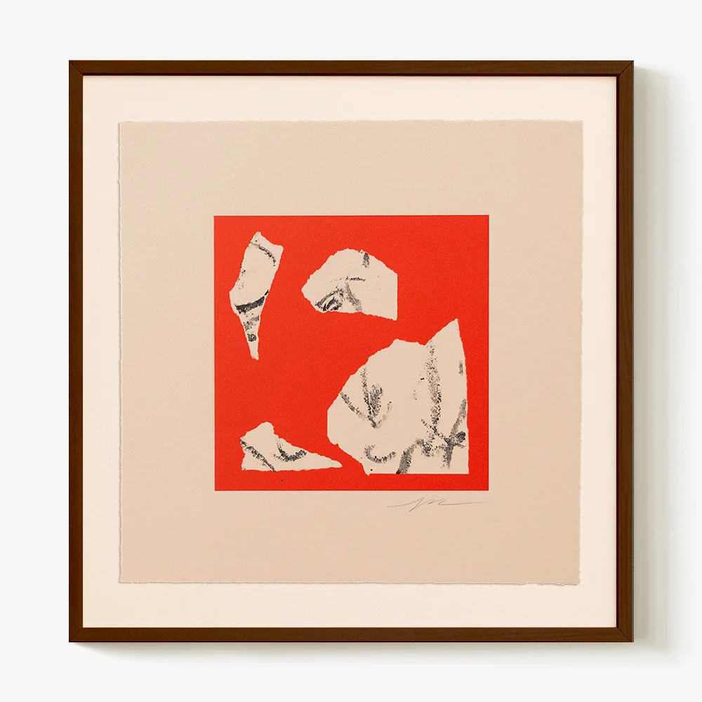 Transit Red/Blk 3 - Image 5