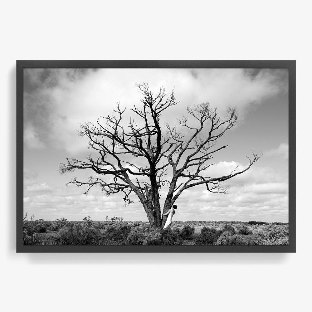 Tree - Image 11