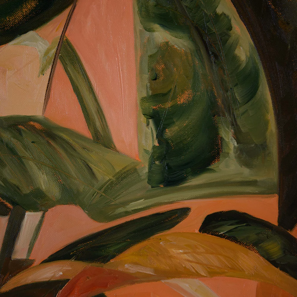 Tropicana - Image 4
