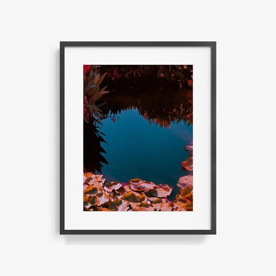 Untitled - Image 11