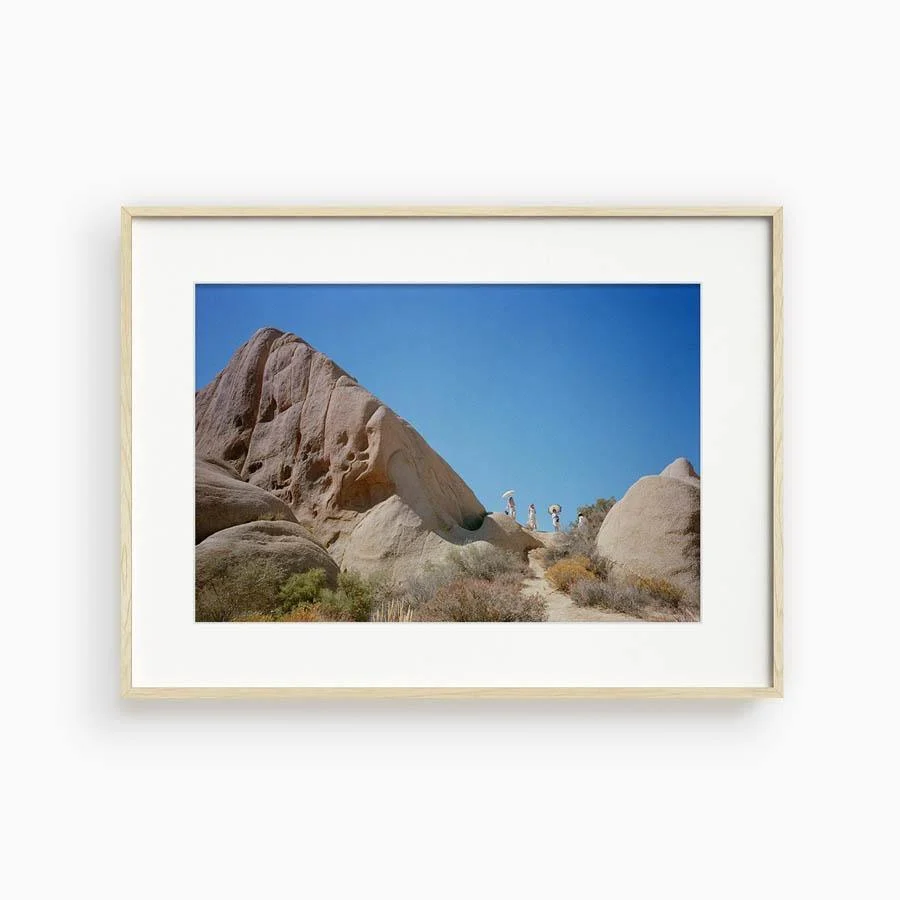 Untitled I (Joshua Tree) - Image 10
