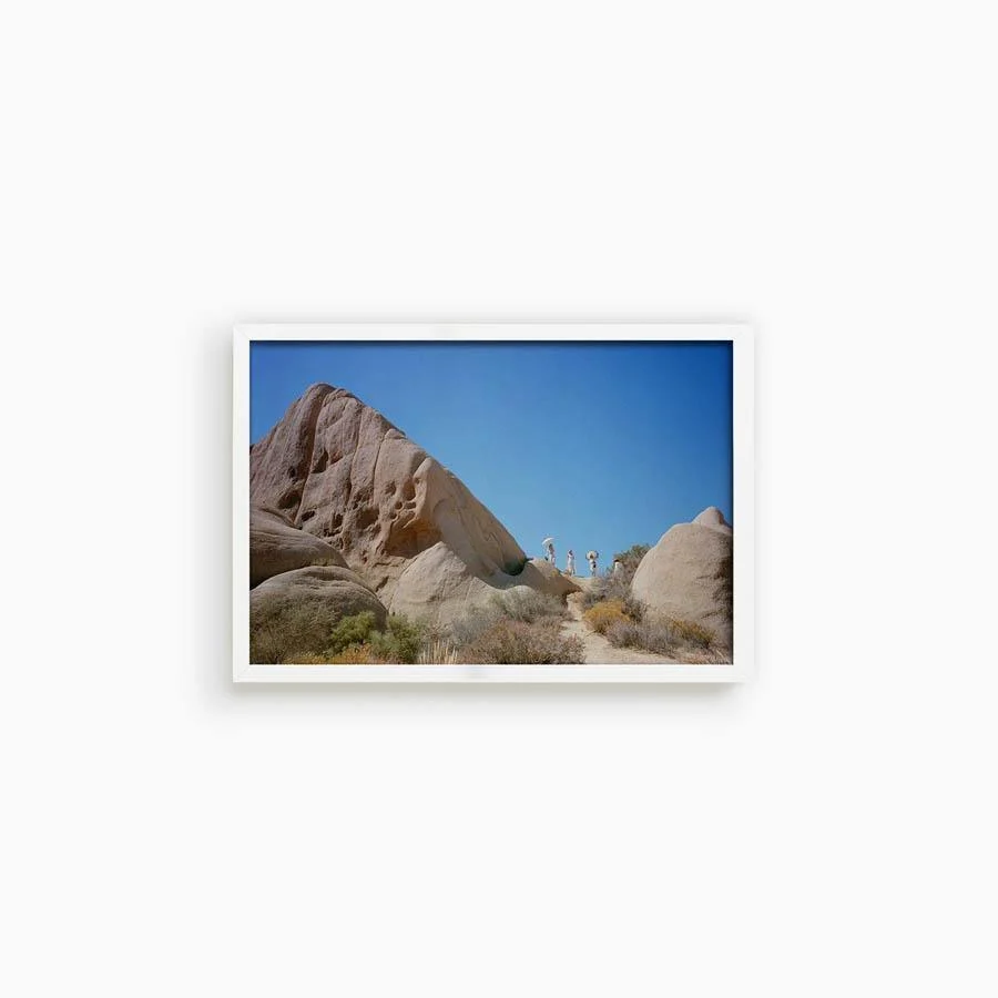 Untitled I (Joshua Tree) - Image 14
