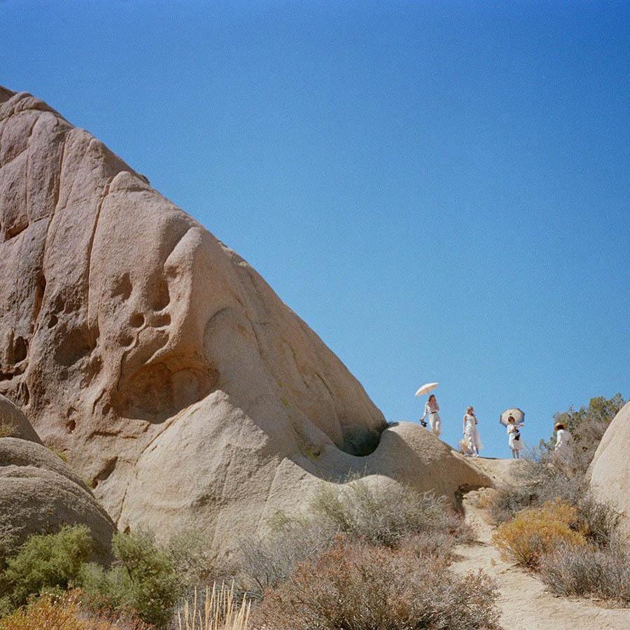 Untitled I (Joshua Tree) - Image 3