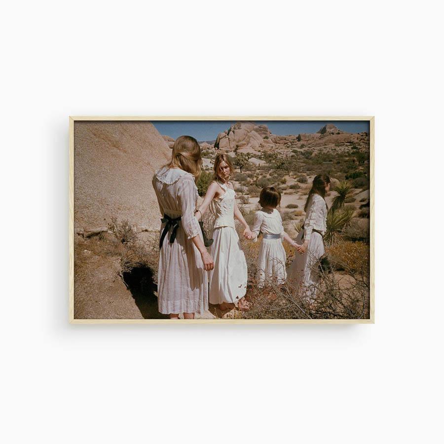 Untitled III (Joshua Tree) - Image 6