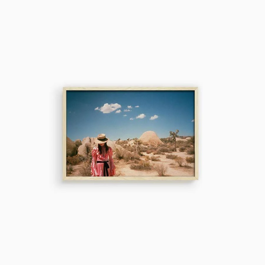 Untitled IV (Joshua Tree) - Image 18