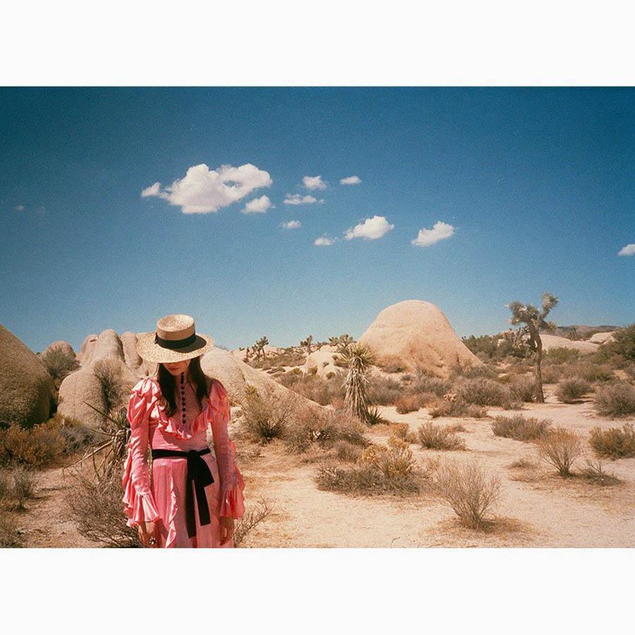 Untitled IV (Joshua Tree) - Image 21