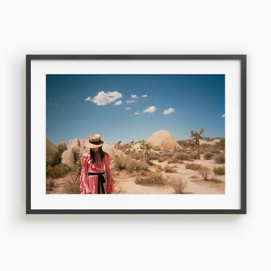 Untitled IV (Joshua Tree) - Image 7