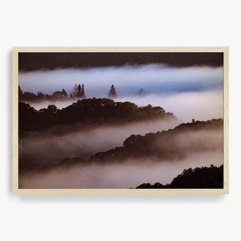 Untitled (MacArthur) 8 - Image 15