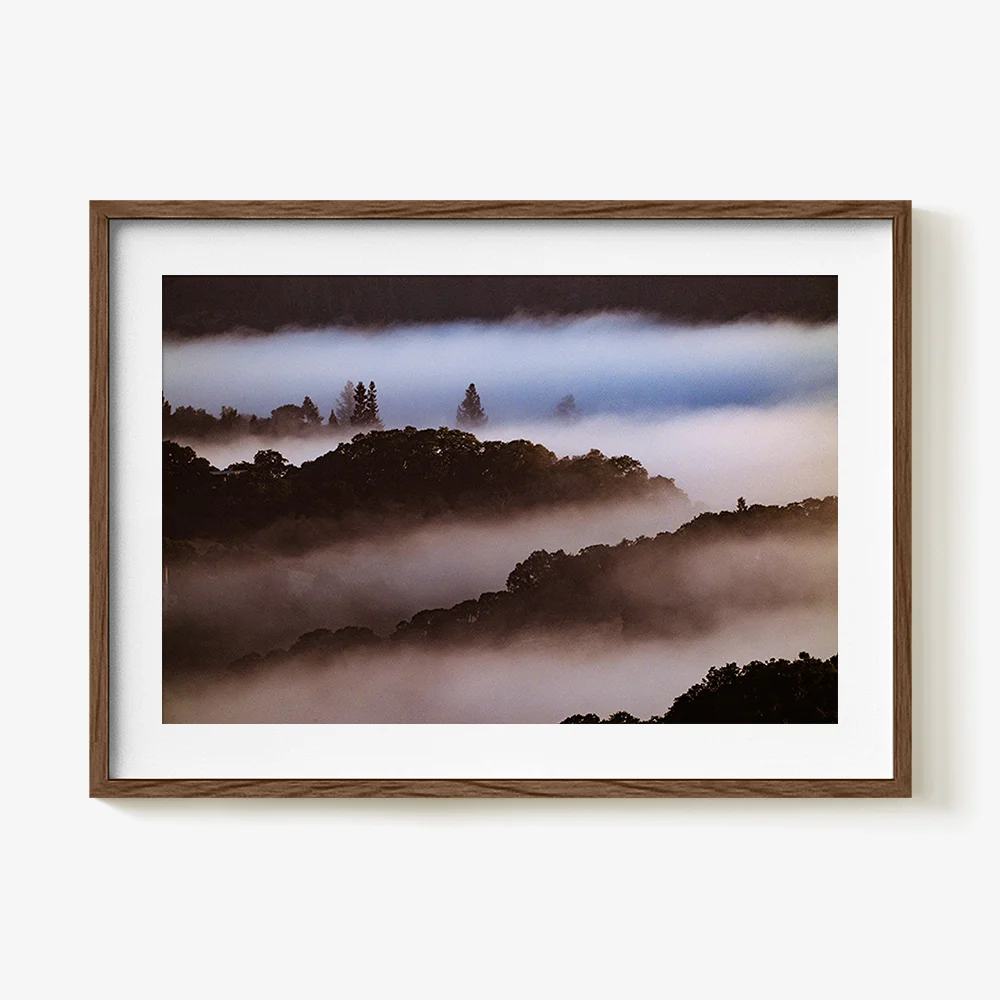 Untitled (MacArthur) 8 - Image 16