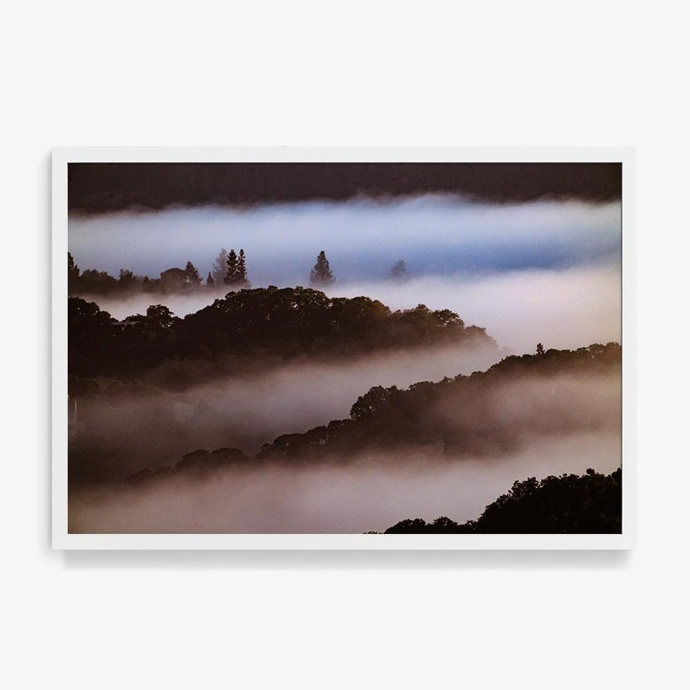 Untitled (MacArthur) 8 - Image 4