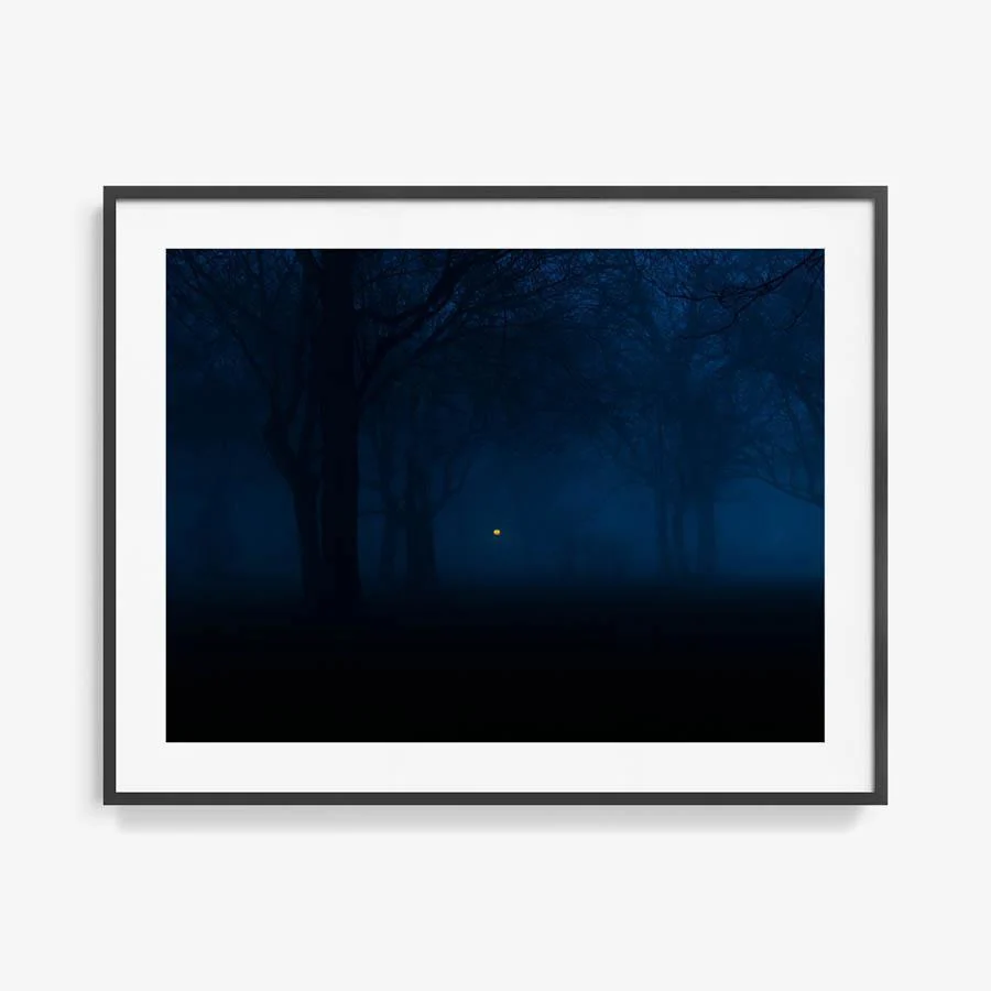 Untitled (Night Forest) - Image 17