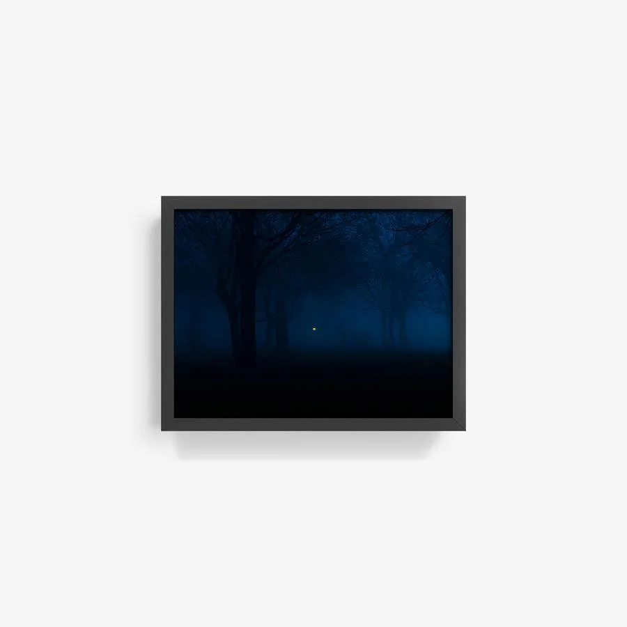 Untitled (Night Forest) - Image 6