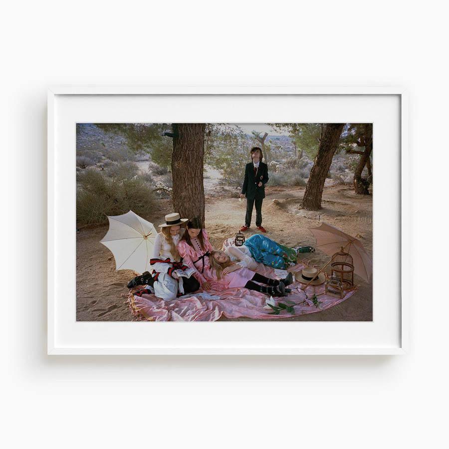 Untitled VI (Joshua Tree)