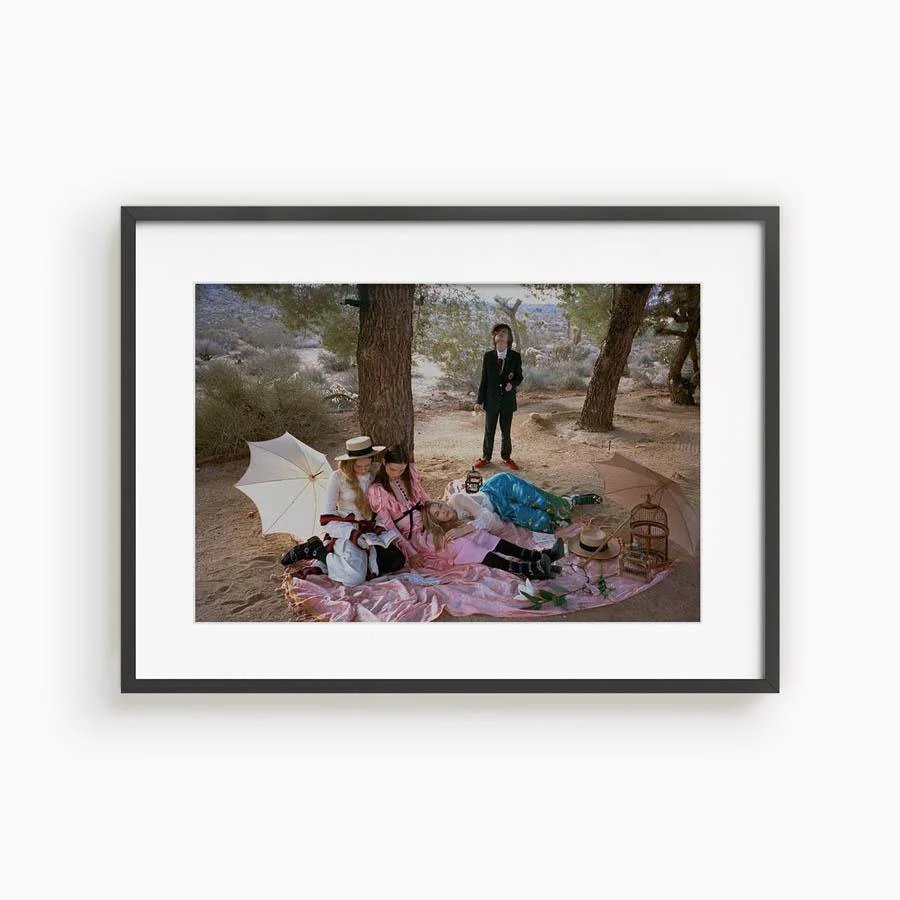Untitled VI (Joshua Tree) - Image 13