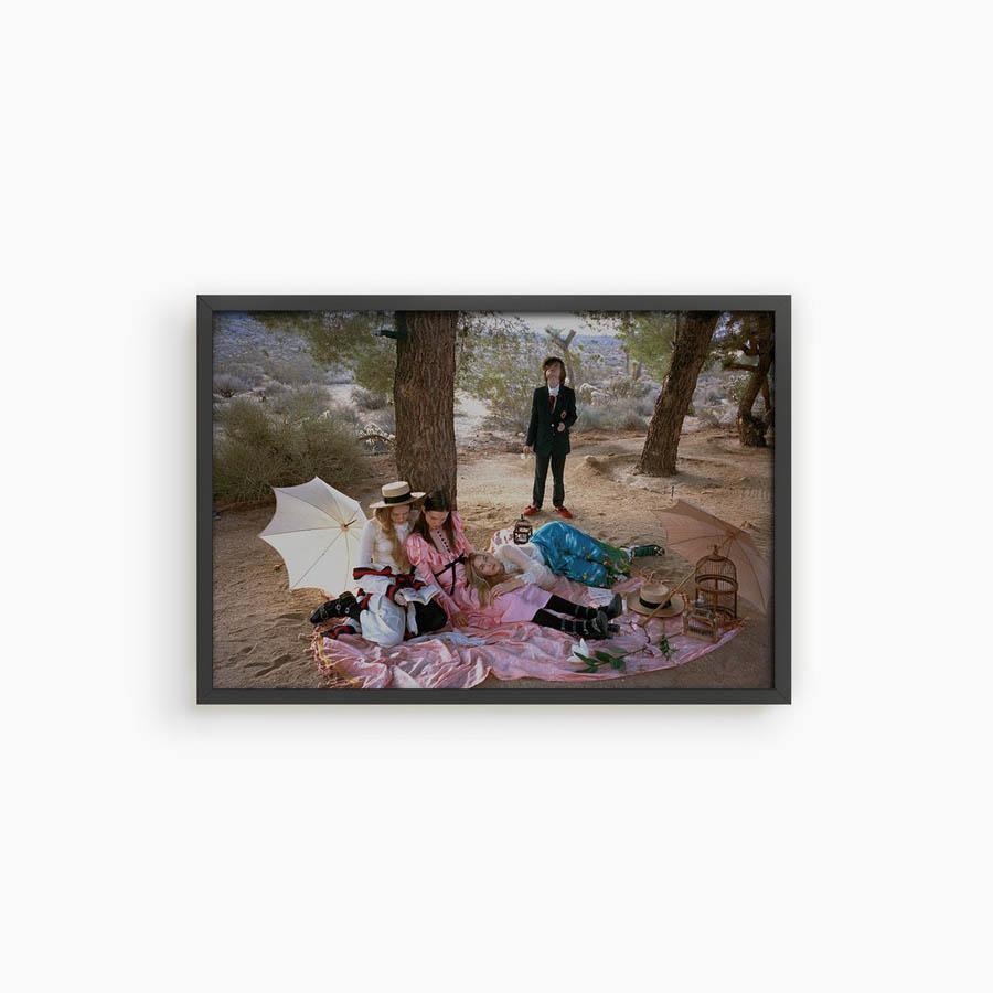 Untitled VI (Joshua Tree) - Image 14