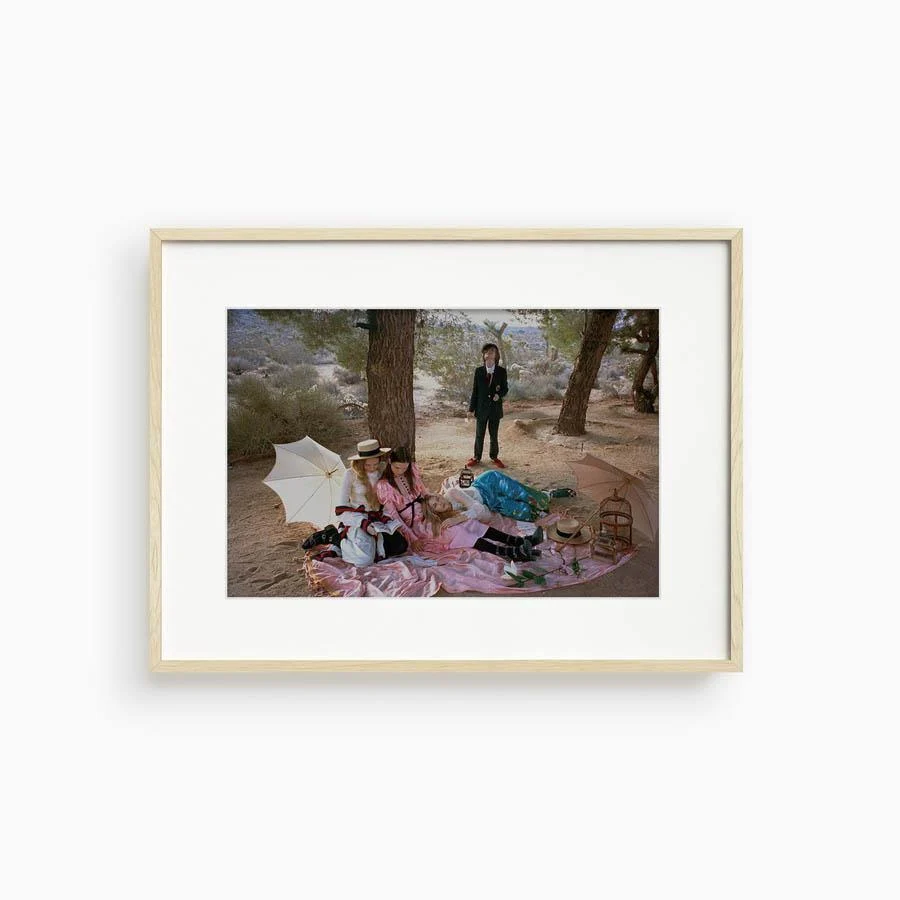 Untitled VI (Joshua Tree) - Image 17