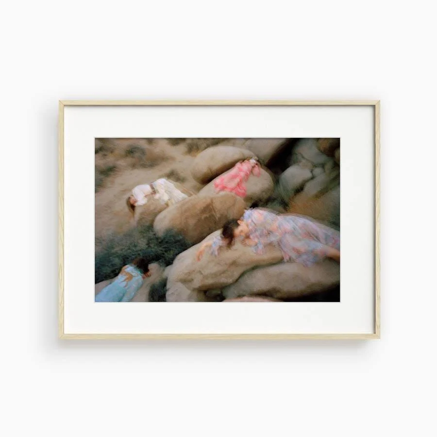 Untitled VII (Joshua Tree) - Image 11
