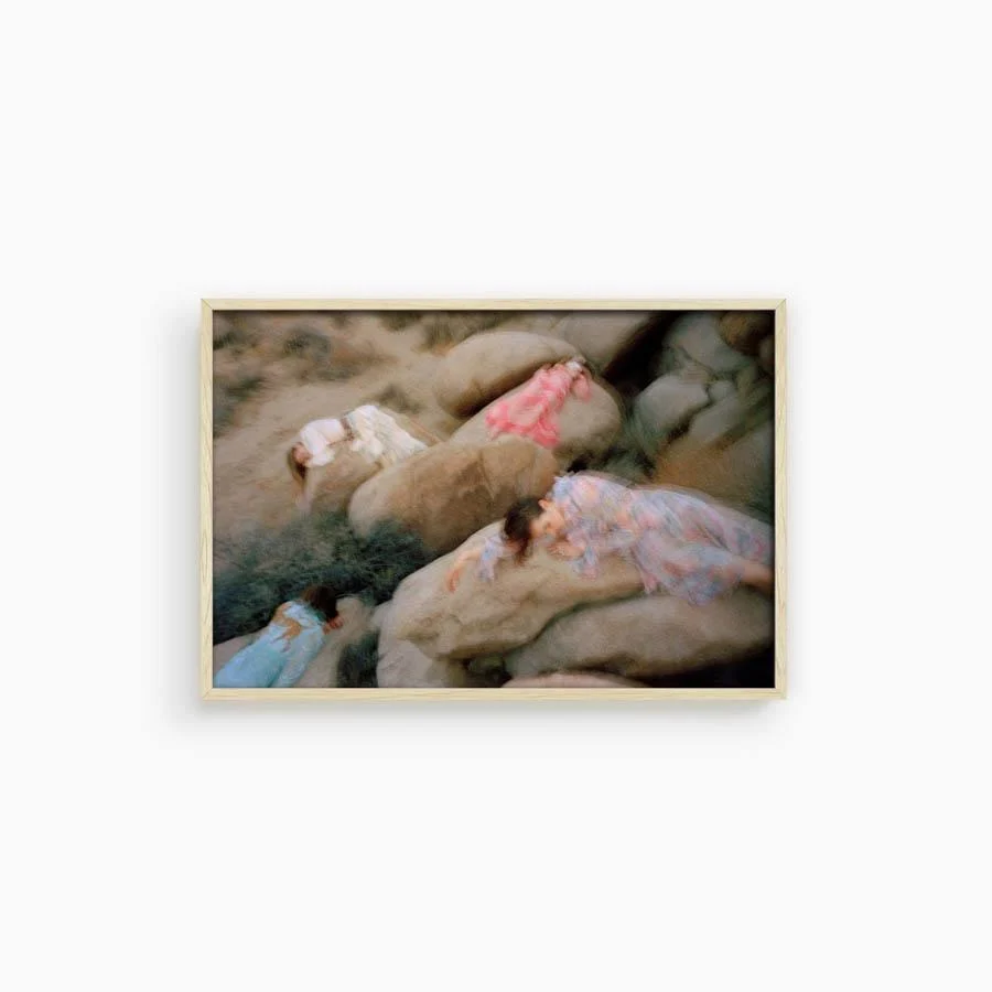 Untitled VII (Joshua Tree) - Image 12
