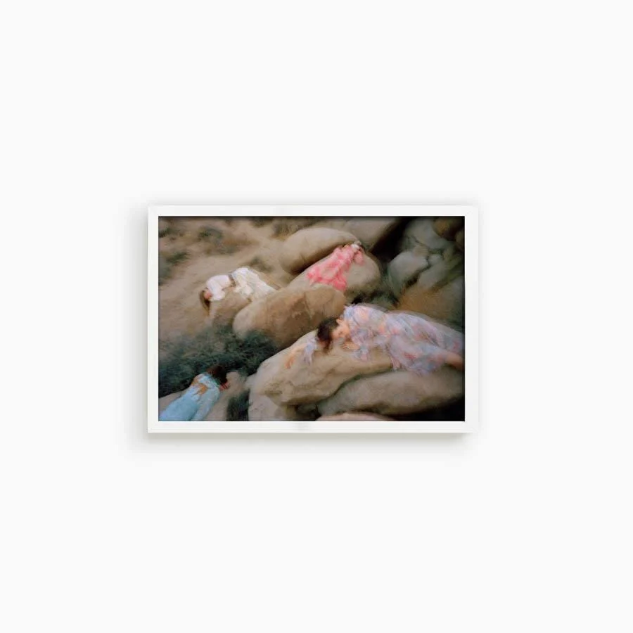 Untitled VII (Joshua Tree) - Image 16