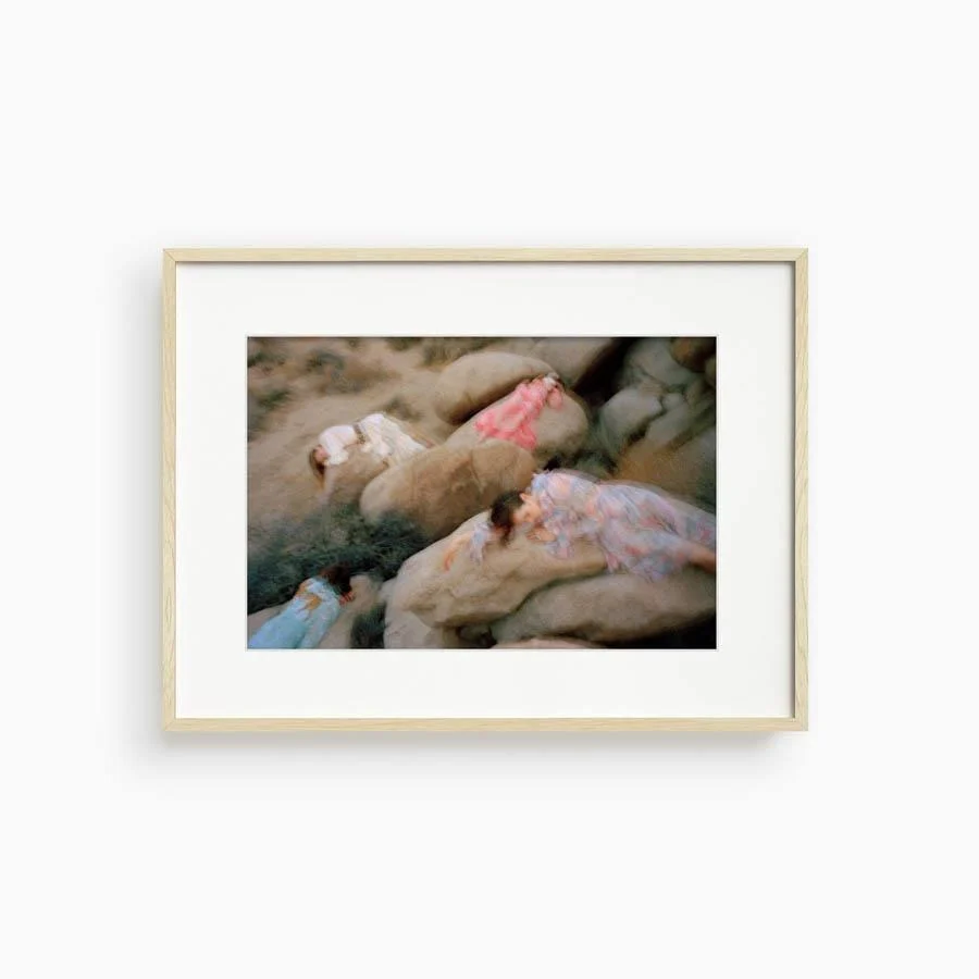 Untitled VII (Joshua Tree) - Image 17