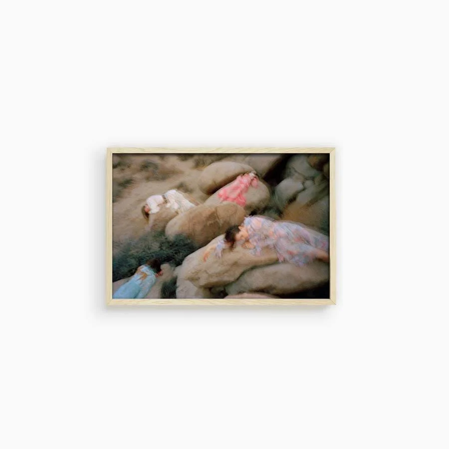 Untitled VII (Joshua Tree) - Image 18