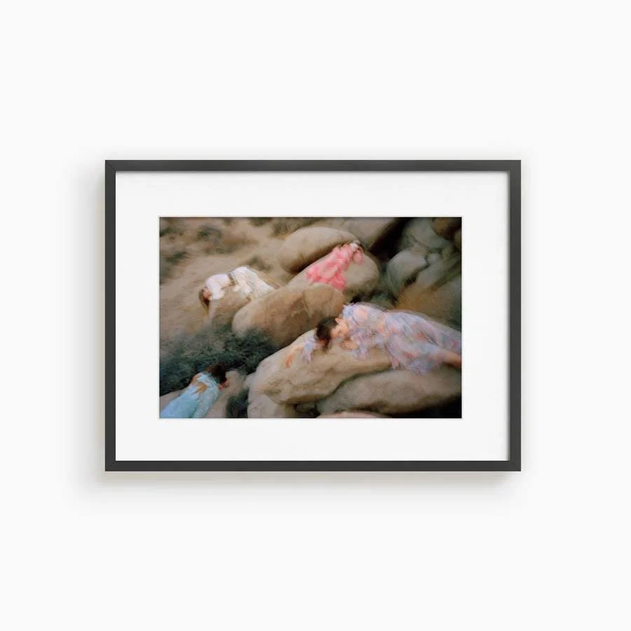 Untitled VII (Joshua Tree) - Image 19