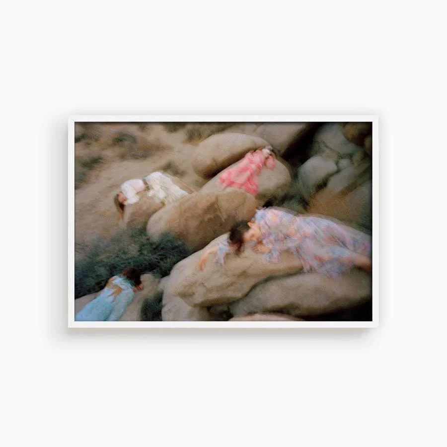 Untitled VII (Joshua Tree) - Image 4