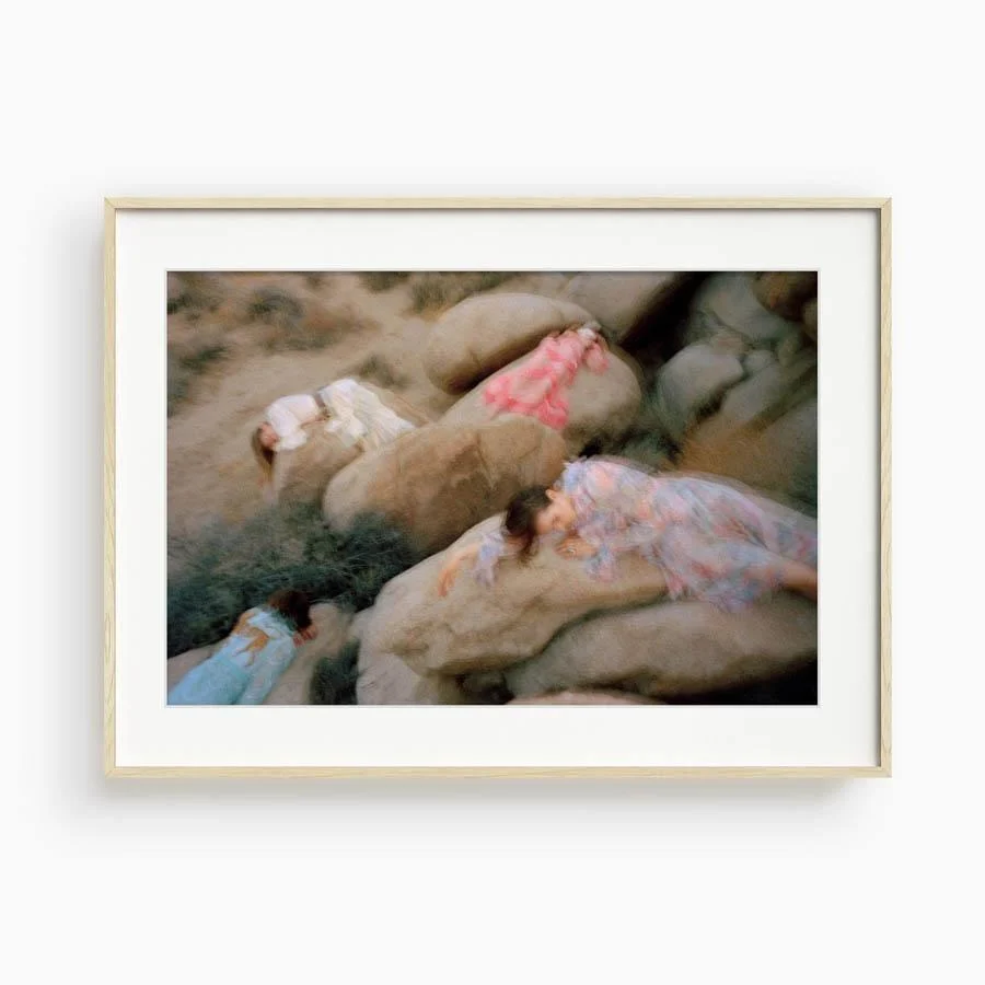 Untitled VII (Joshua Tree) - Image 5
