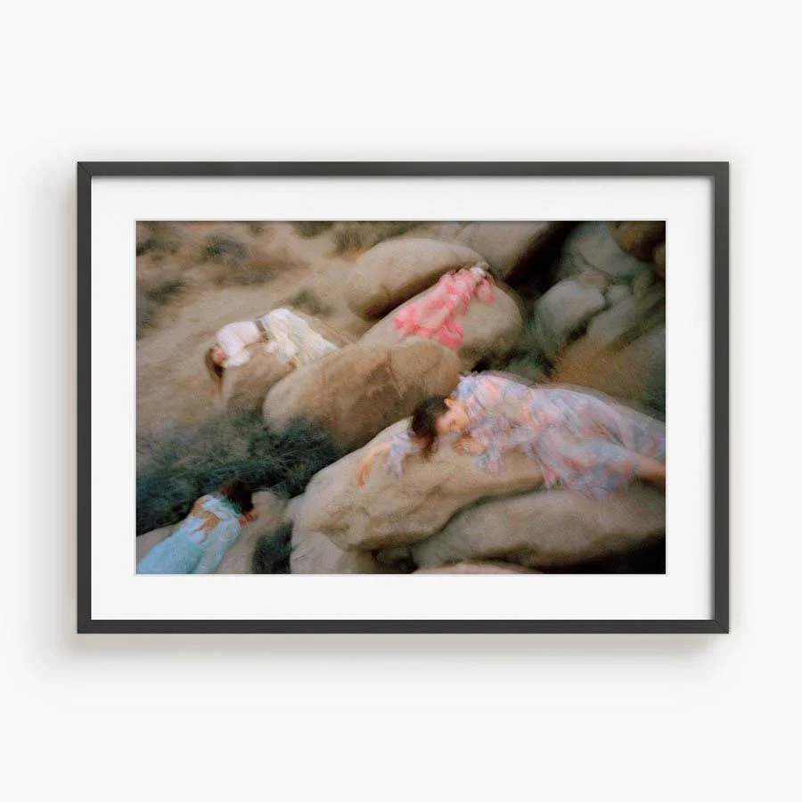 Untitled VII (Joshua Tree) - Image 7