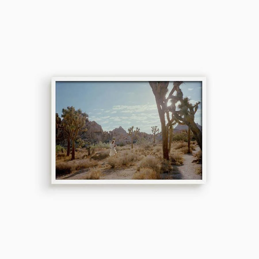 Untitled VIII (Joshua Tree) - Image 3