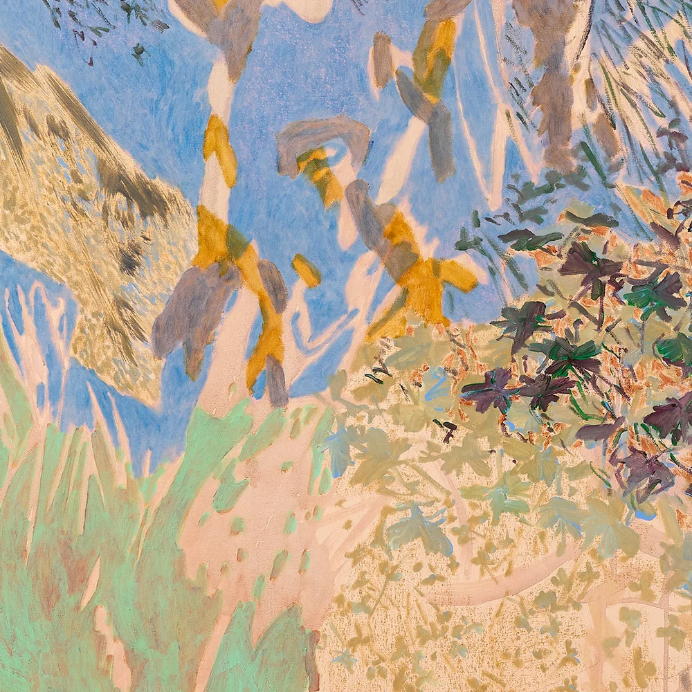 View From The Canoe - Image 3