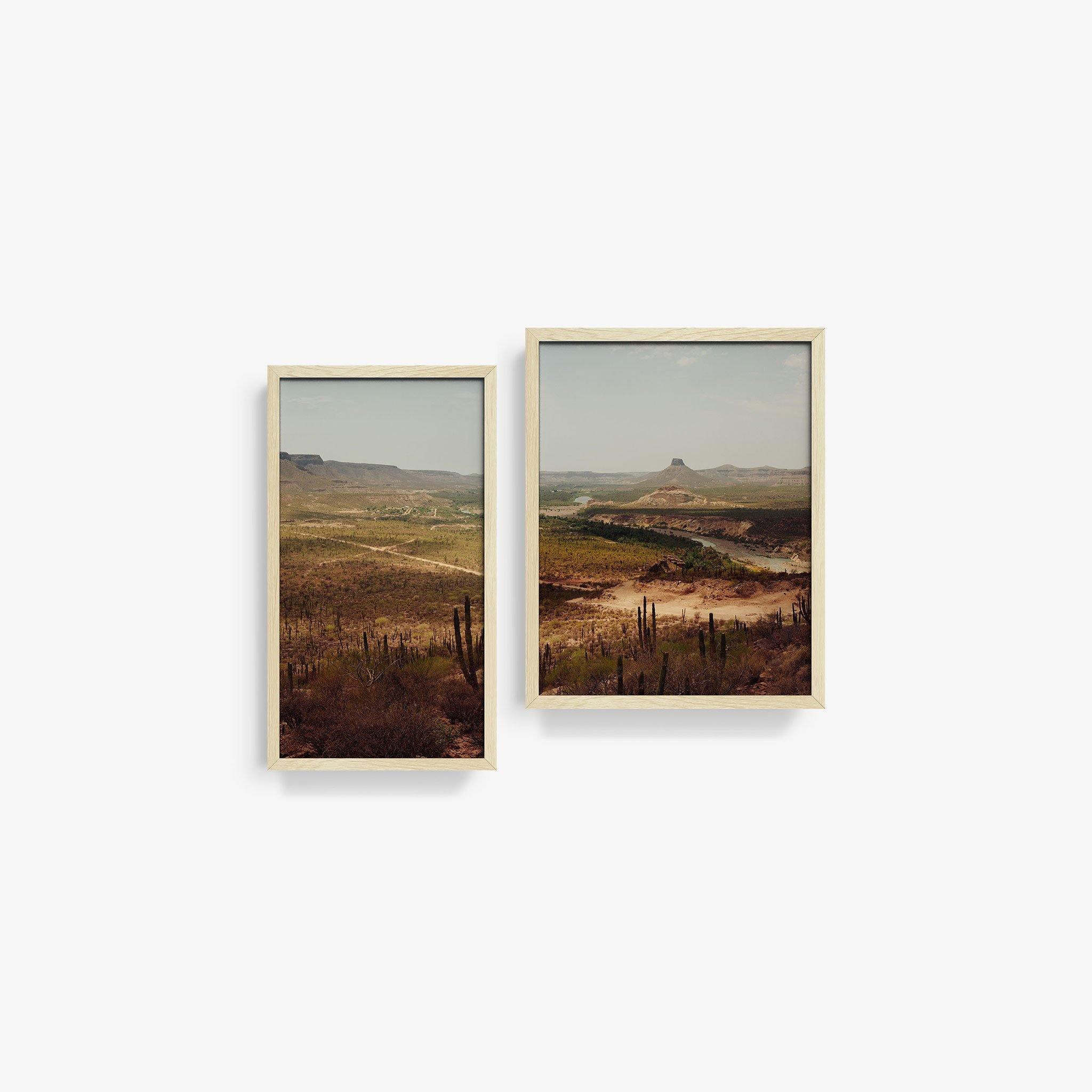 Vizcaino Desert Diptych - Image 10
