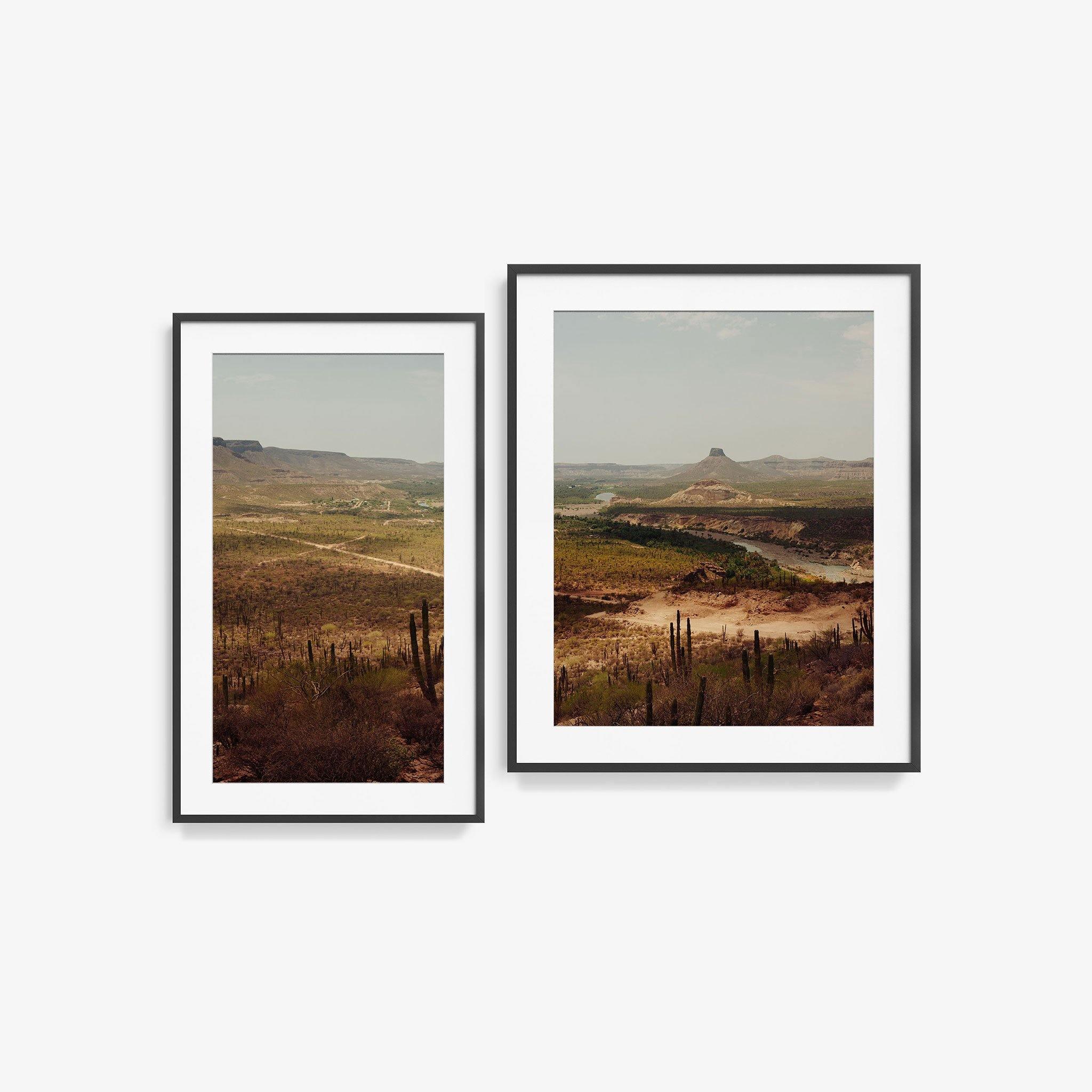 Vizcaino Desert Diptych - Image 14