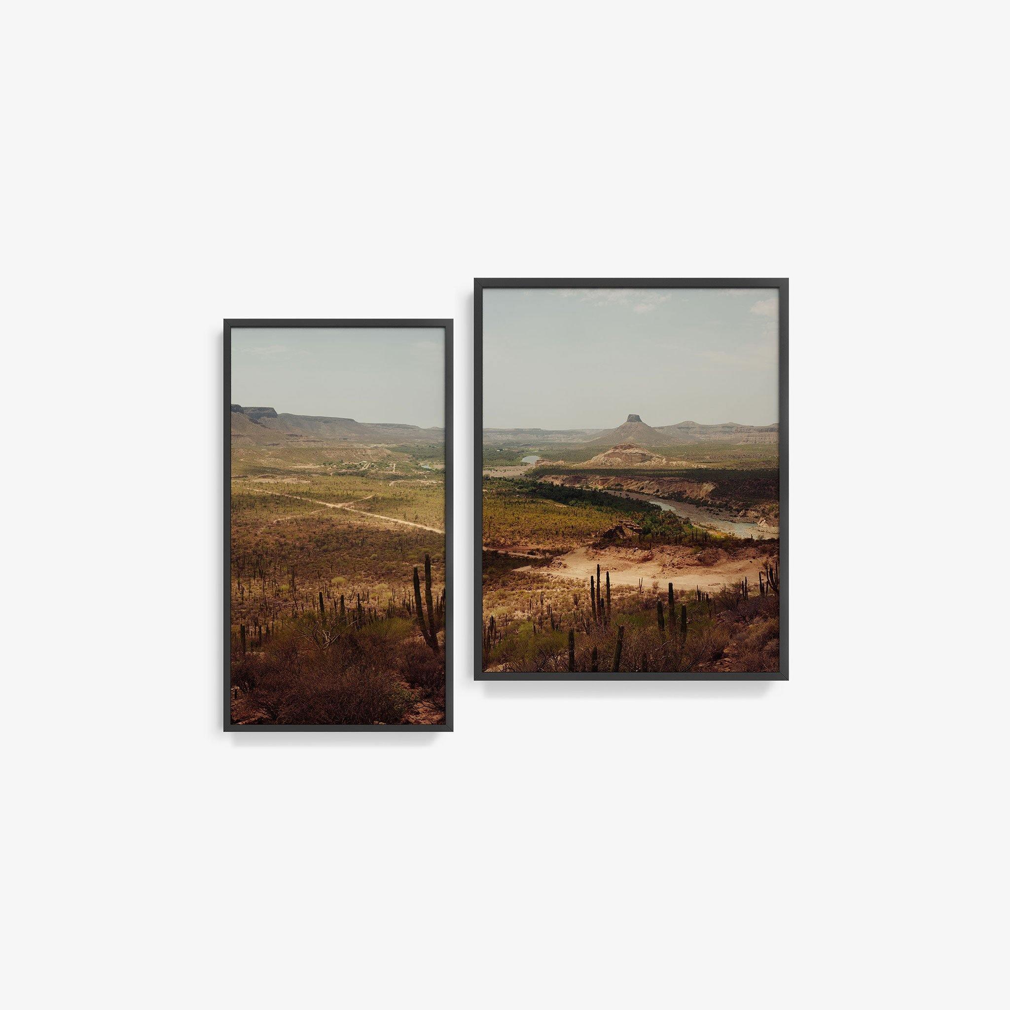 Vizcaino Desert Diptych - Image 16