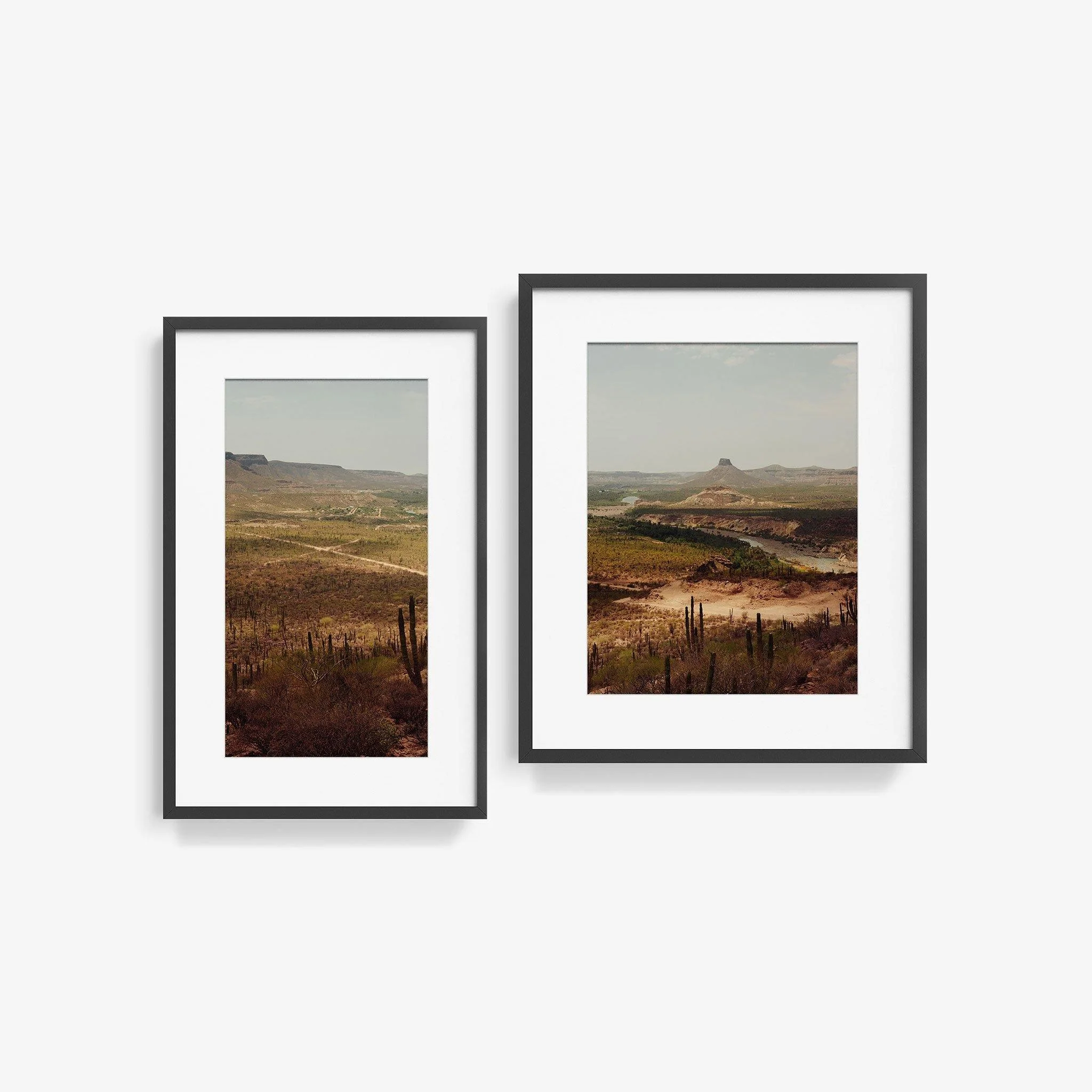 Vizcaino Desert Diptych - Image 8