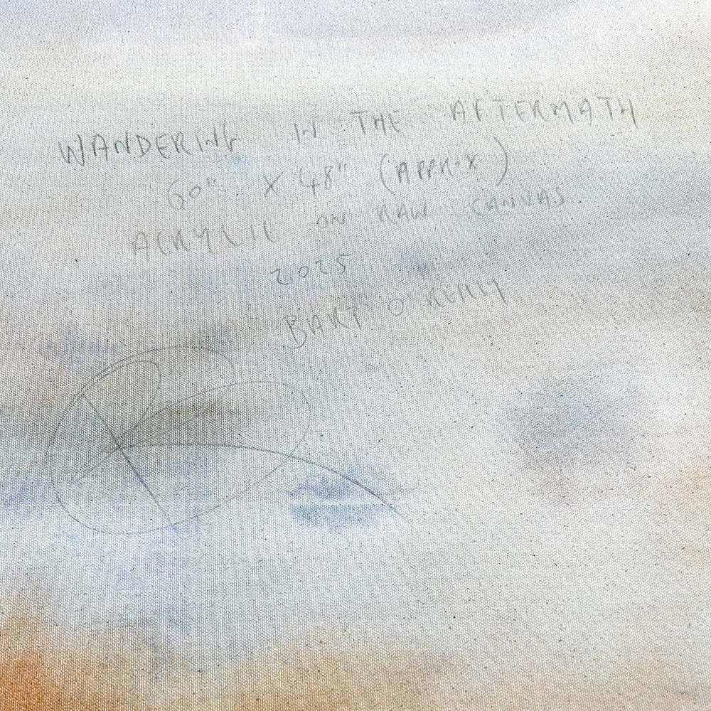 Wandering in the Aftermath - Image 4