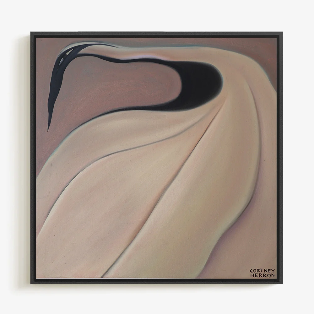 White Canopy - Image 6