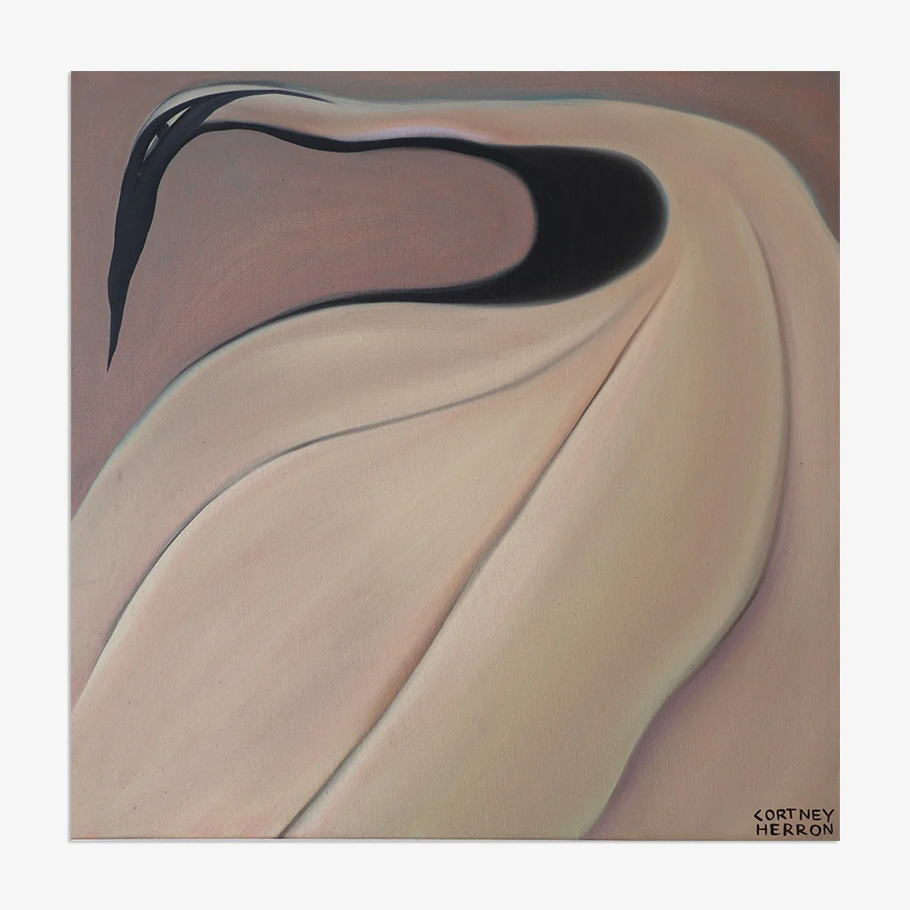 White Canopy - Image 8